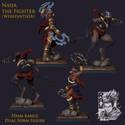 Naija The Fighter - Dual Form Hero - STL only - Only-Games