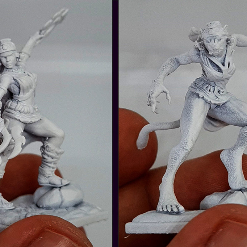 Naija The Fighter - Dual Form Hero - STL only - Only-Games