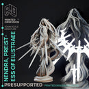 Nendra - Preistess of Eilistraee - PRESUPPORTED - Deity Fight Club - 32mm scale