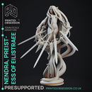 Nendra - Preistess of Eilistraee - PRESUPPORTED - Deity Fight Club - 32mm scale