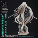 Nendra - Preistess of Eilistraee - PRESUPPORTED - Deity Fight Club - 32mm scale