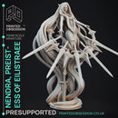 Nendra - Preistess of Eilistraee - PRESUPPORTED - Deity Fight Club - 32mm scale
