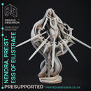 Nendra - Preistess of Eilistraee - PRESUPPORTED - Deity Fight Club - 32mm scale