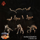 Nilvorax Headhunters