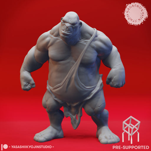 Ogre Brawler - Book of Beasts - Tabletop Miniatures (Pre-Supported) - Only-Games