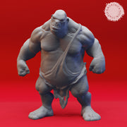 Ogre Warband - Book of Beasts - Tabletop Miniatures (Pre-Supported) - Only-Games