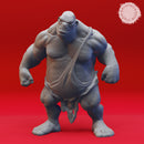 Ogre Warband - Book of Beasts - Tabletop Miniatures (Pre-Supported)