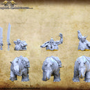 Ogre rhino riders - Only-Games