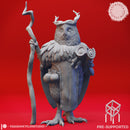 Owlin Druid - Tabletop Miniature (Pre-Supported)