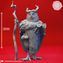Parliament of Owlin - Tabletop Miniature (Pre-Supported)