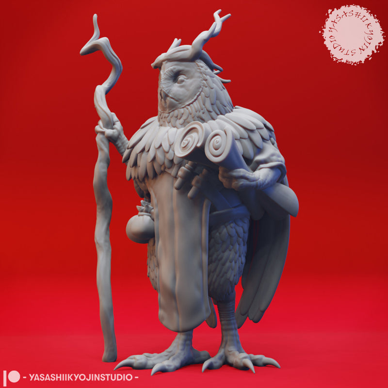 Owlin Druid - Tabletop Miniature (Pre-Supported)
