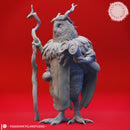 Owlin Druid - Tabletop Miniature (Pre-Supported)