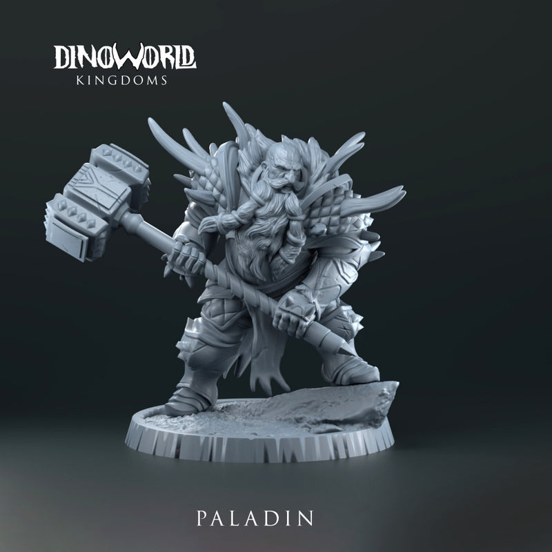 Dwarft paladin - Only-Games