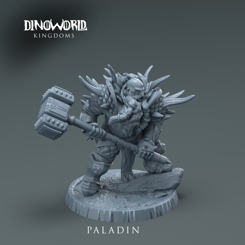 Dwarft paladin - Only-Games