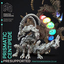 Elemental Familars Pack - 11 Model Pack - PRESUPPORTED - Illustrated & Stats - 32mm scale.