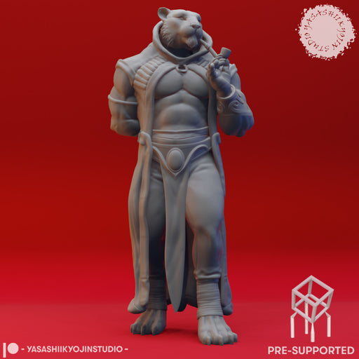 Rakshasa - Tabletop Miniature (Pre-Supported) - Only-Games