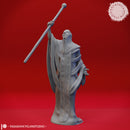 Red Wizard Cultists - Tabletop Miniatures (Pre-Supported)