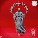 Red Wizard Lich - Tabletop Miniatures (Pre-Supported)