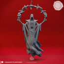 Red Wizard Cultists - Tabletop Miniatures (Pre-Supported)
