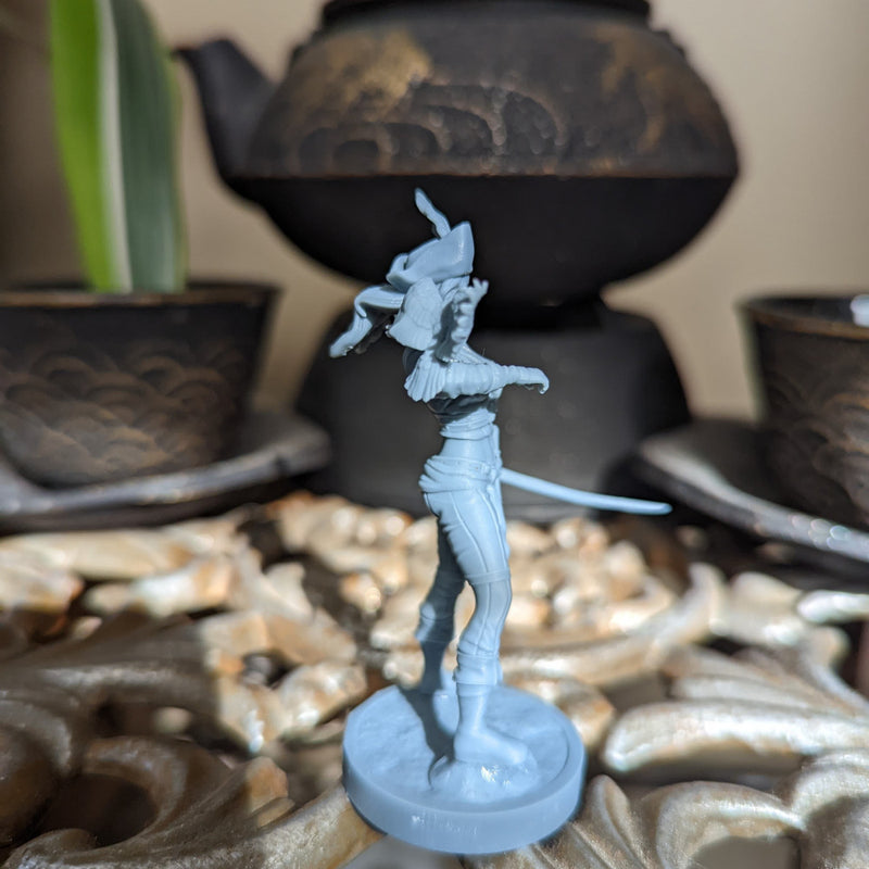 Parrot Pirate Robin - Pirate Captain with Parrot - 75mm + 35mm Scale