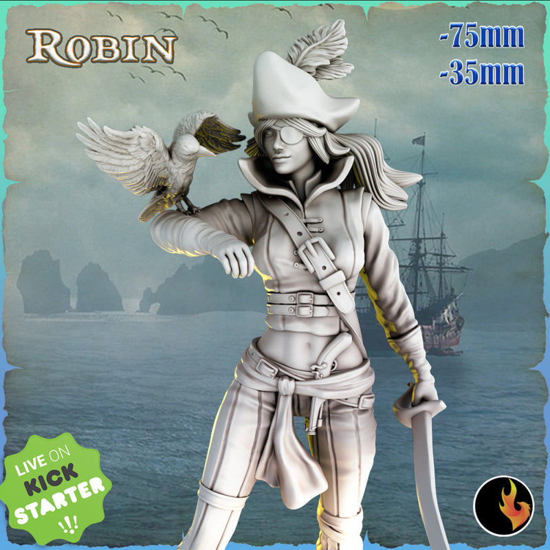 Parrot Pirate Robin - Pirate Captain with Parrot - 75mm + 35mm Scale