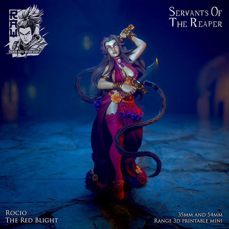 Rocio The Red Blight - Dia De Muertos Assassin - STL only - Only-Games