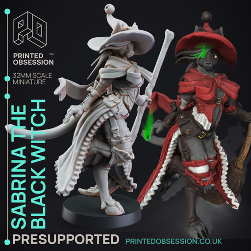 Black Witch Tabaxi - Tabaxi Caravan - PRESUPPORTED - 32mm scale - Illustrated & Stats - Only-Games