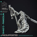 Shas'O the shaman - Pangolin Anthro - PRESUPPROTED - 32mm scale