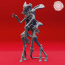 Skeleton Warband - Book of Beasts - Tabletop Miniatures (Pre-Supported)