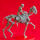 Skeleton Riders - Book of Beasts - Tabletop Miniatures (Pre-Supported)