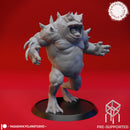 Slaad (Death)  - Tabletop Miniature (Pre-Supported)