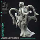 Slime Monk - Humanoid Slime Monster -  PRESUPPORTED - Illustrated and Stats - 32mm scale