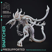 Snatcher - The Mists of Change - PRESUPPORTED - 32mm Scale - Only-Games