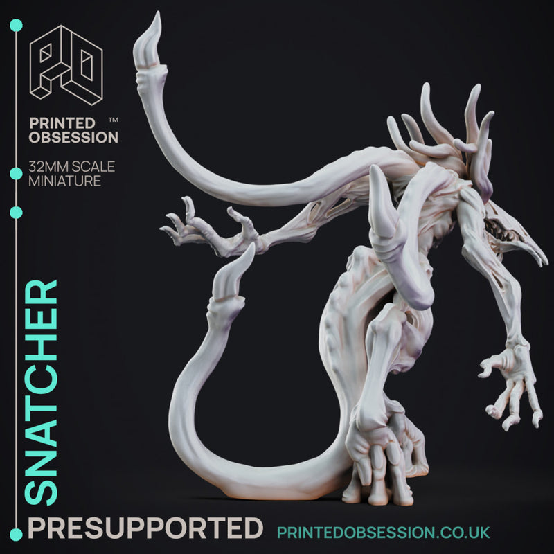 Snatcher - The Mists of Change - PRESUPPORTED - 32mm Scale - Only-Games