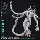 Snatcher - The Mists of Change - PRESUPPORTED - 32mm Scale