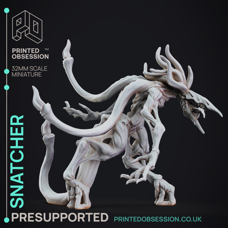 Snatcher - The Mists of Change - PRESUPPORTED - 32mm Scale - Only-Games
