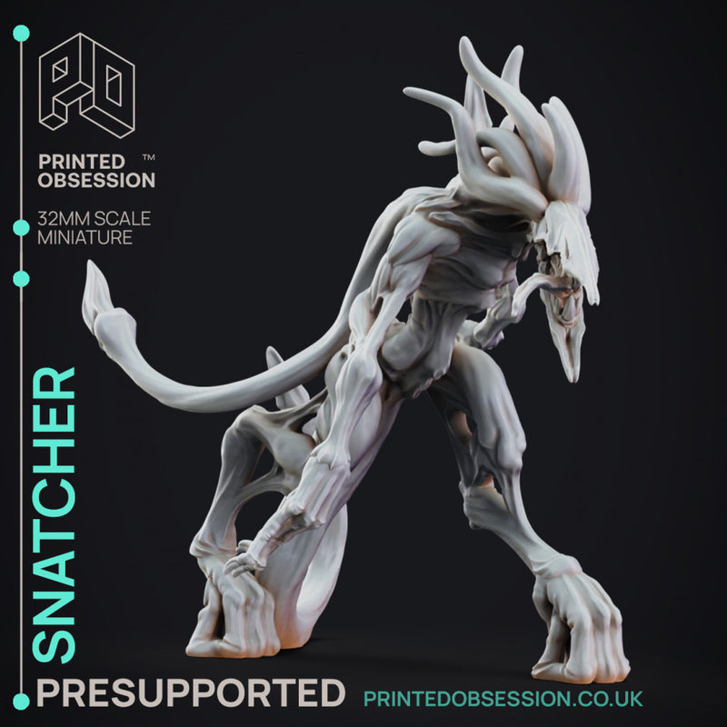 Snatcher - The Mists of Change - PRESUPPORTED - 32mm Scale - Only-Games