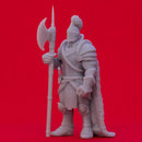 Armored Fighter - Tabletop Miniature (Pre-Supported)