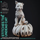 Stiches the Zombie Cat - Small Familar - PRESUPPORTED - 32mm scale