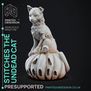 Stiches the Zombie Cat - Small Familar - PRESUPPORTED - 32mm scale