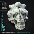 Strange Skull - Prop -  PRESUPPORTED - Illustrated and Stats - 32mm scale