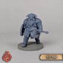 Ralgin, Dwarf Fighter