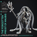 The forgotten Priest of Anubis - Presupported - 32mm scale - D&D