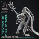 The forgotten Priest of Anubis - Presupported - 32mm scale - D&D