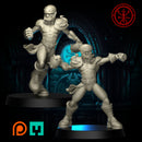 TORCHLIGHT "THE REGULAR PLAIN REGULARS" - Only-Games