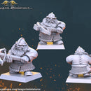 Dwarven treasure hunter warband - Only-Games