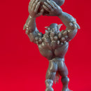 Troll Chukka - Book of Beasts - Tabletop Miniature (Pre-Supported)