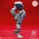 Troll Chukka - Book of Beasts - Tabletop Miniature (Pre-Supported)