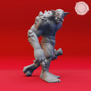 Troll Warband - Book of Beasts - Tabletop Miniatures (Pre-Supported)