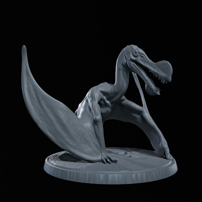 ORNITOCHEITUS - Only-Games